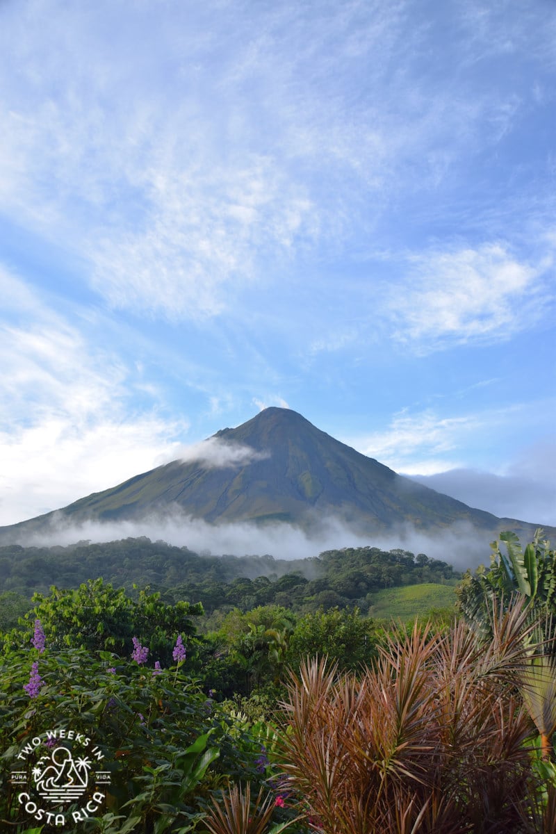 arenal volcano with a layer of light clouds and thick gardens in the foreground