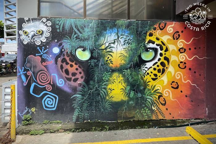 Jaguar painting in Jaco by artist Kamel
