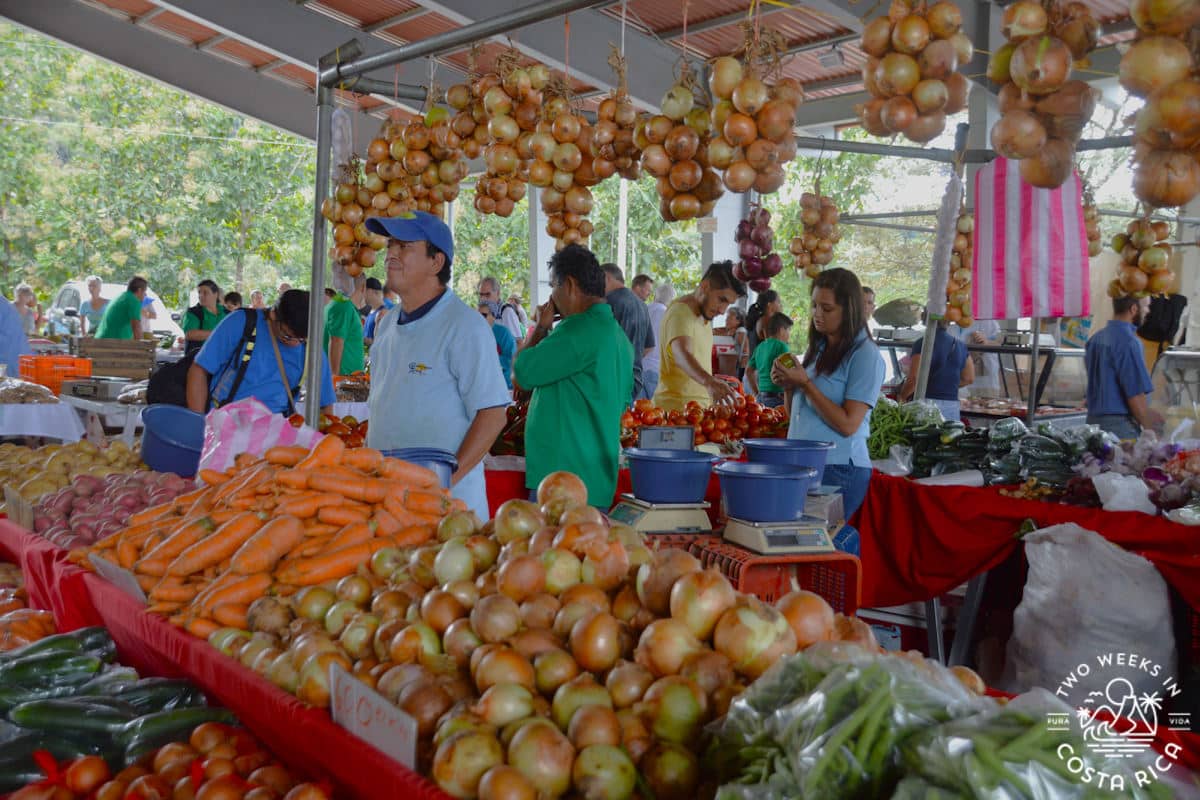 people at a local farmers market in atenas costa rica