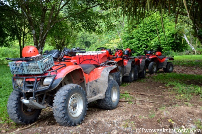 red atvs parked on a dirt road under trees