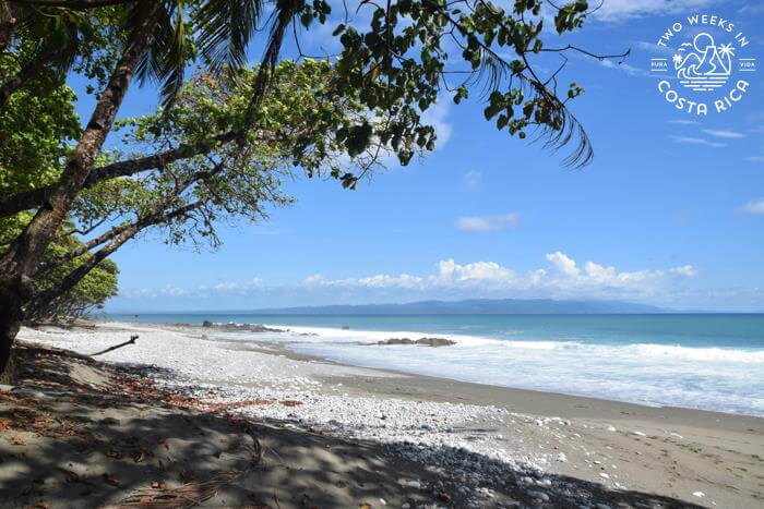 Backwash Cabo Matapalo