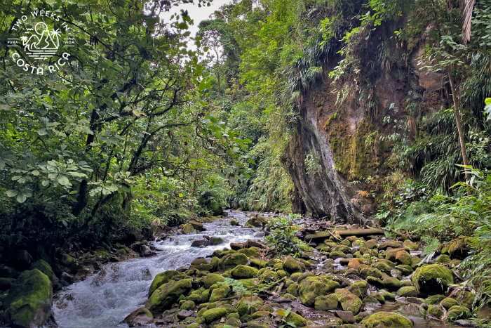 river flowing through jungle in bajos del toro costa rica