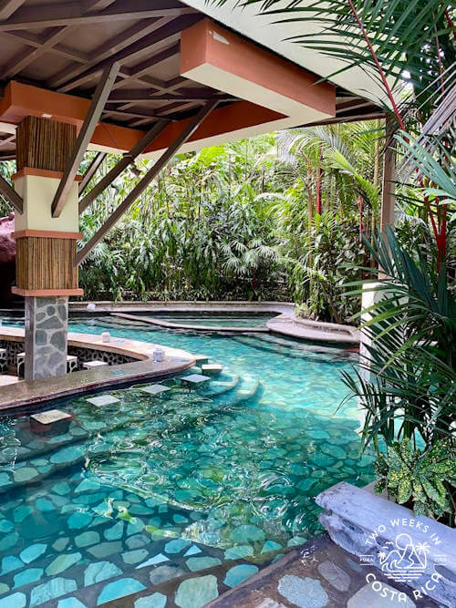 green pool with swim up bar