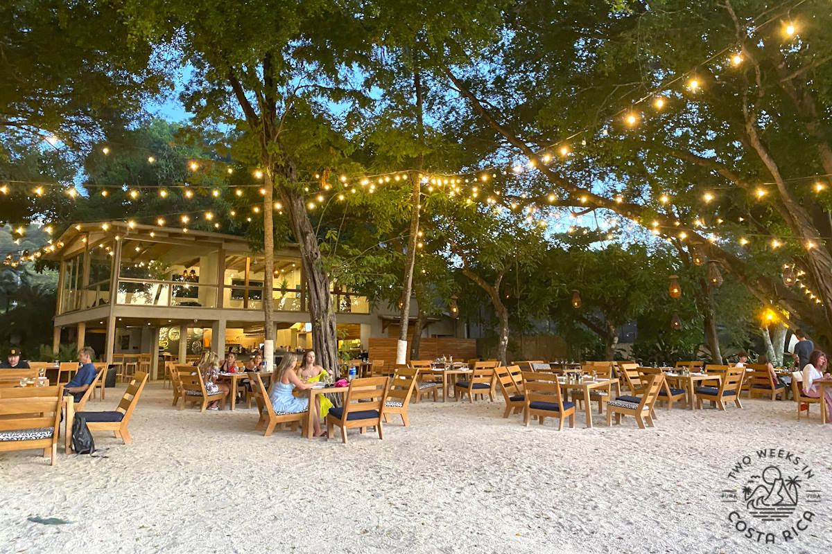 people sitting at tables on the sand with white lights in the trees