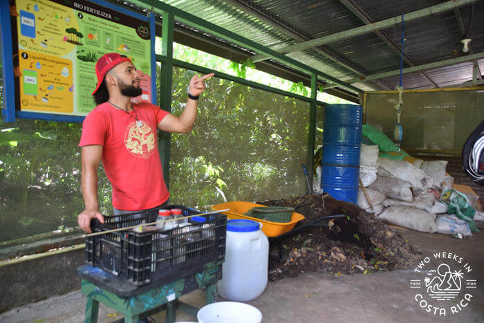 Natural fertilizer coffee