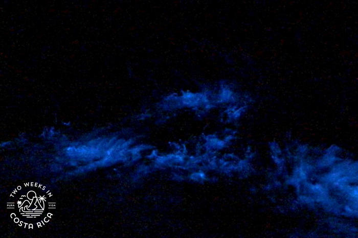 a photo of the bioluminescence in costa rica