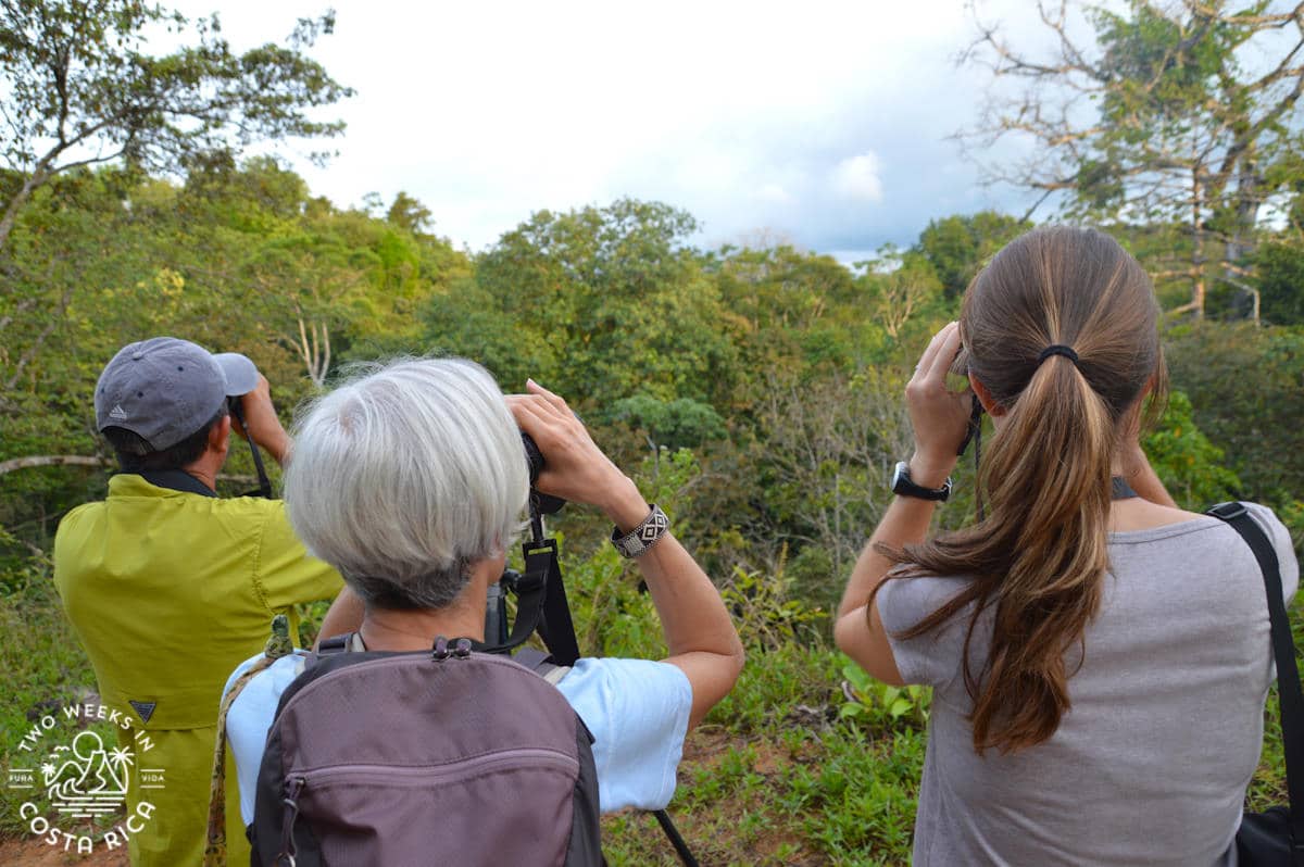 people on a bird watching tour in drake bay