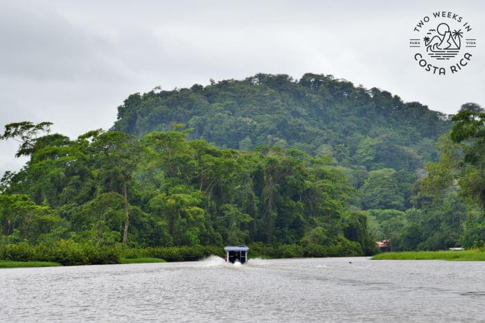 Boat Taxi La Pavona to Tortuguero