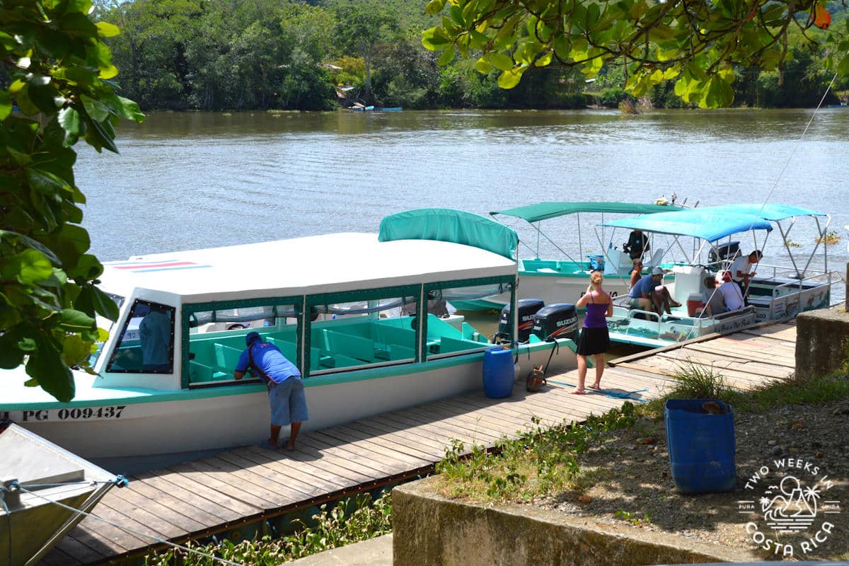 boat taxis parked at the docks in sierpe costa rica