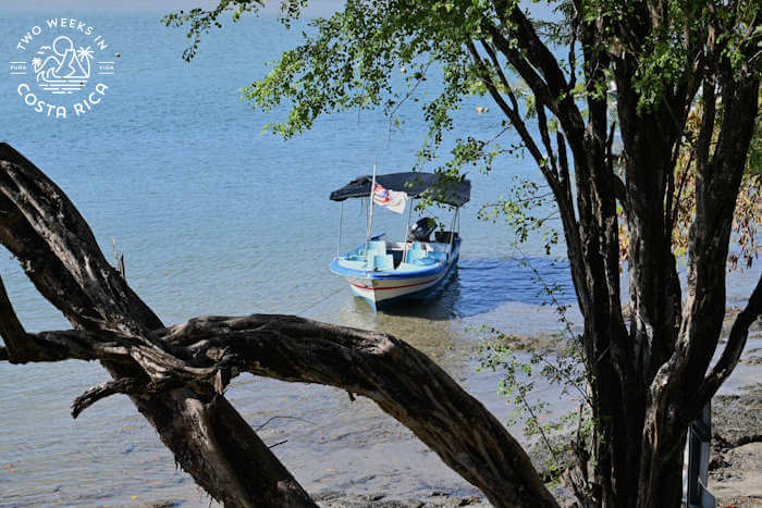 A small covered boat used for the estuary tour in Tamarindo, Costa Rica