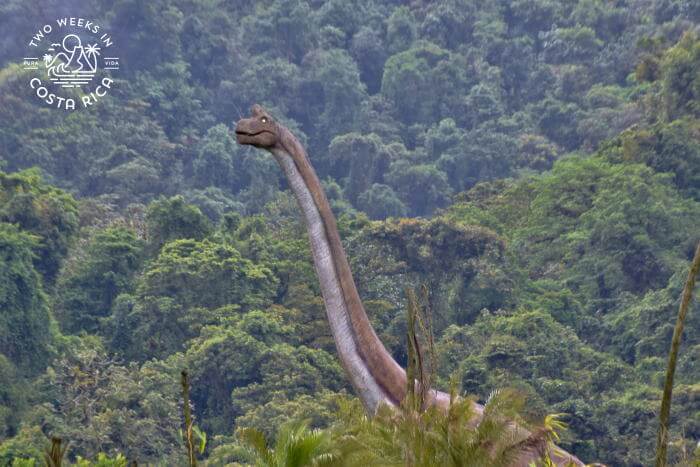 Brachiosaurus Dino Land