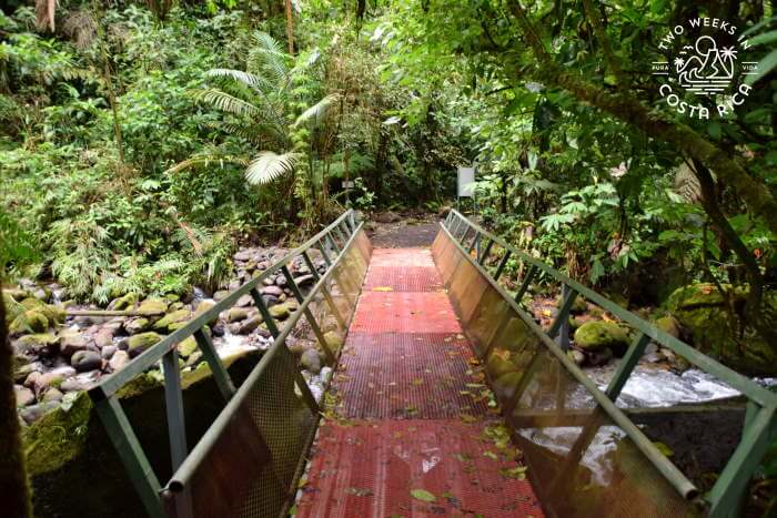 Bridge Rio Agrio Waterfall