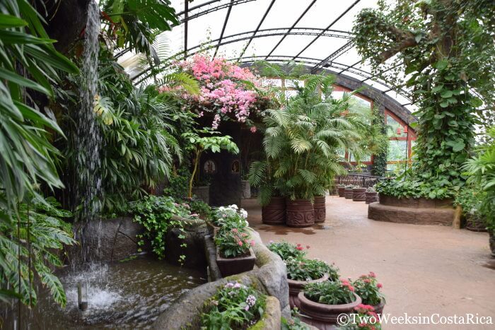 Butterfly Enclosure at La Paz
