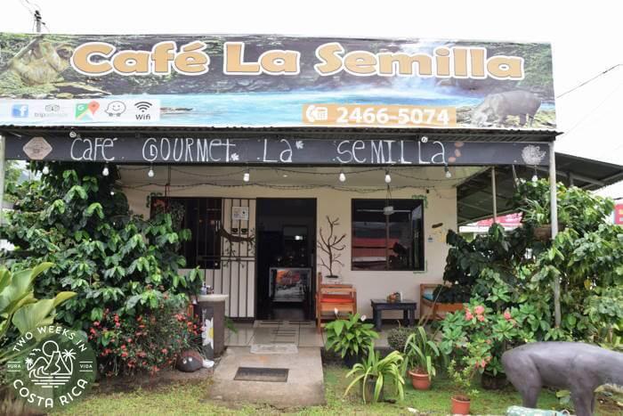 Small restaurant with garden and patio seating and a sign that reads cafe la semilla