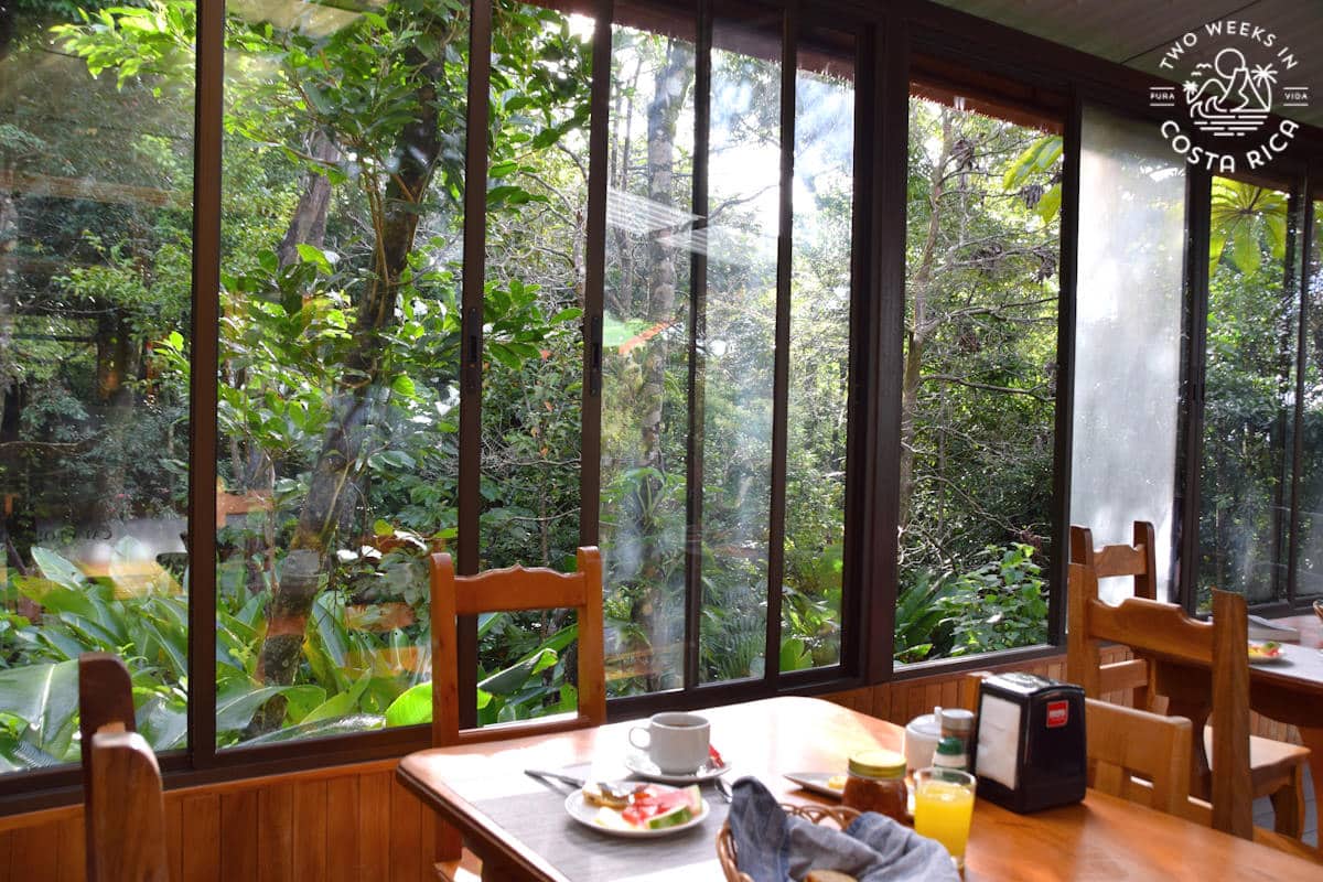 a dining table in a hotel overlooking the monteverde cloud forest