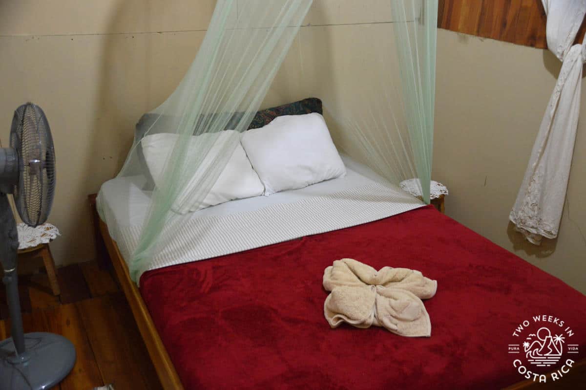 simple room with a bug net