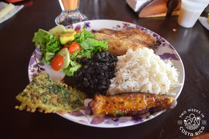 Casado Florida Restaurant