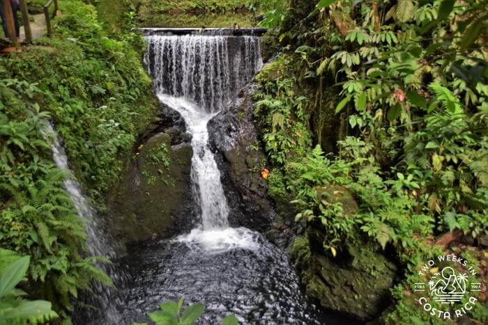 Pools Pozas La Presa