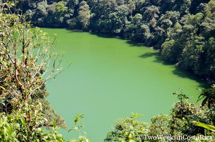 Green water in the lagoon at Cerro Chato Volcano