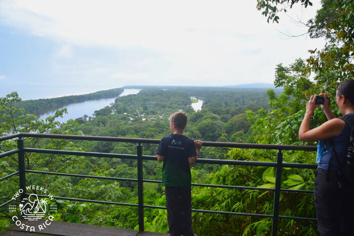 people looking out from a viewpoint overlooking forest and water