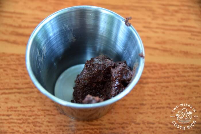 Pure Cacao Tasting North Fields