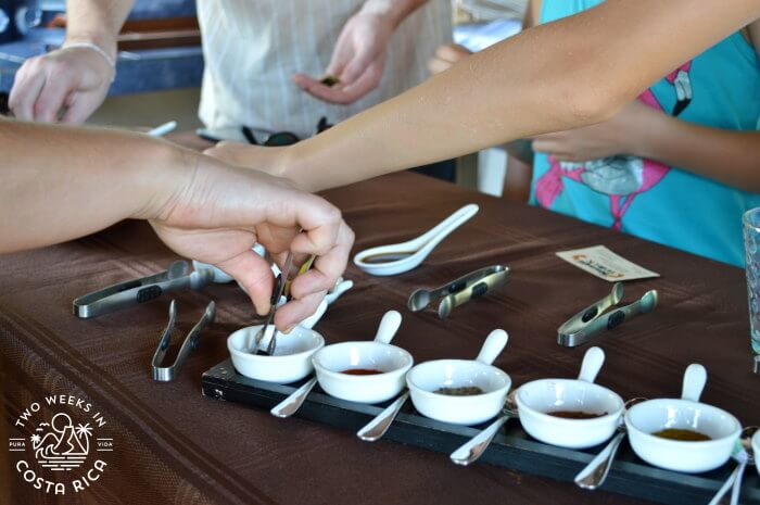 Chocolate tour Puerto Viejo