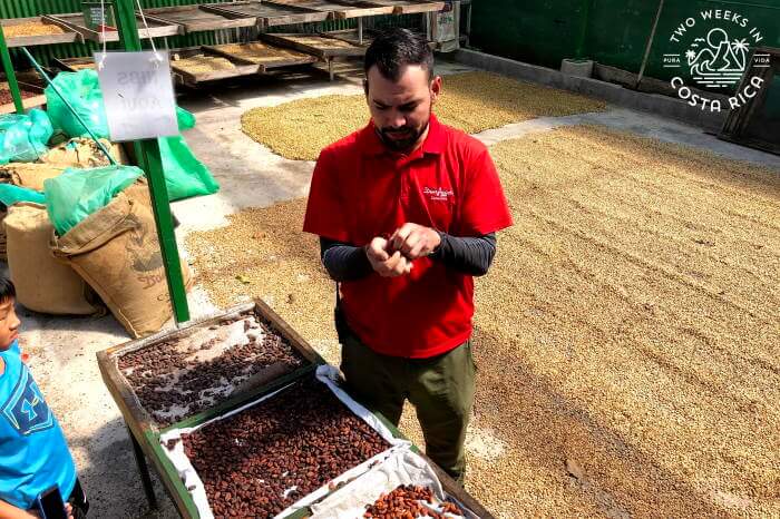 Don Juan Coffee Tour