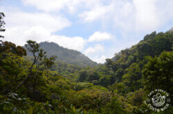 View Continental Divide Curi Cancha