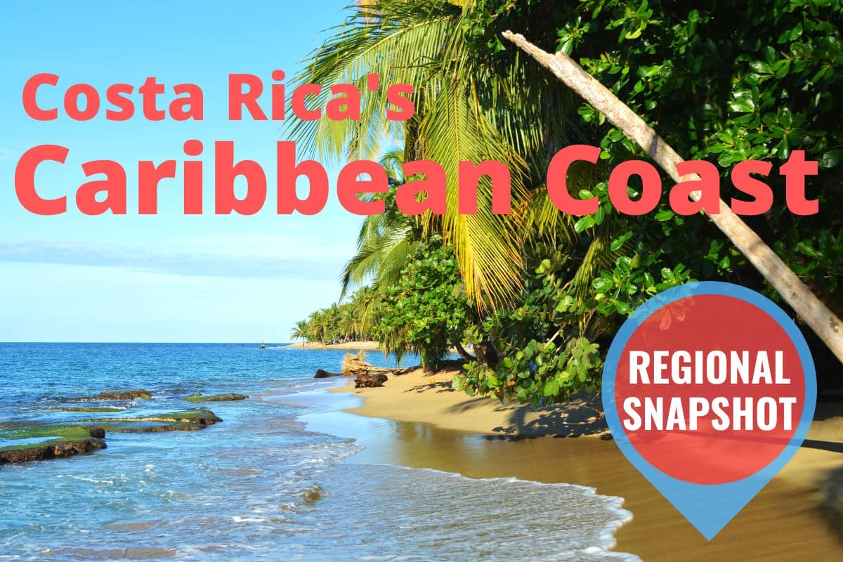 palm tree lined beach with text that reads costa ricas caribbean coast