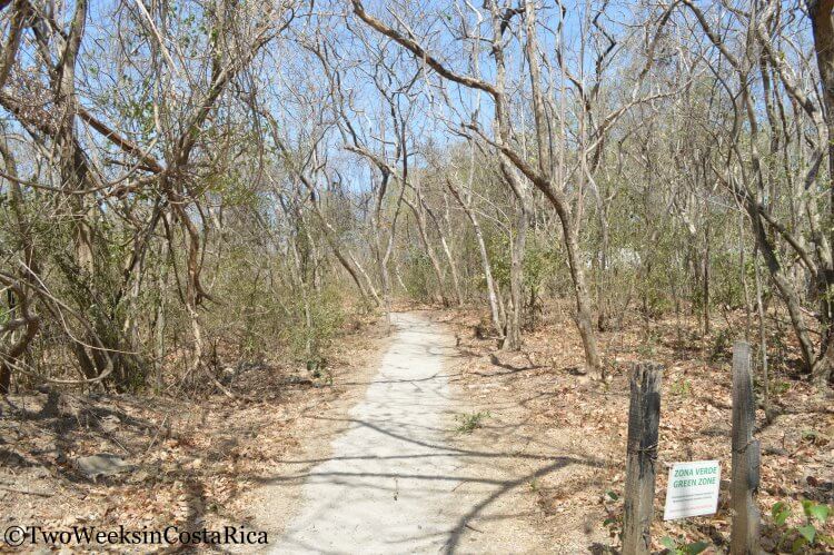 Costa Rica in Dry Season | Two Weeks in Costa Rica