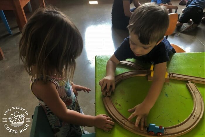 Ficus Tree School Class