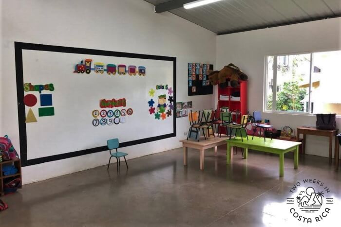 Ficus Tree School Playa Hermosa