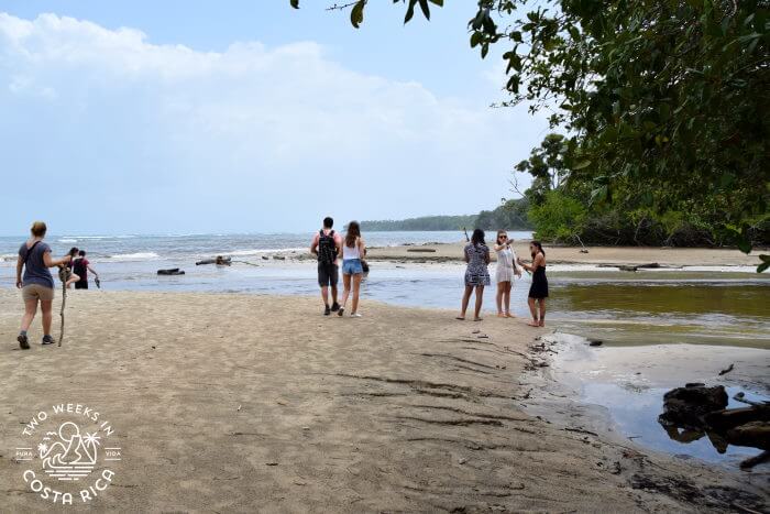 Trail meets the Suarez River in Cahuita