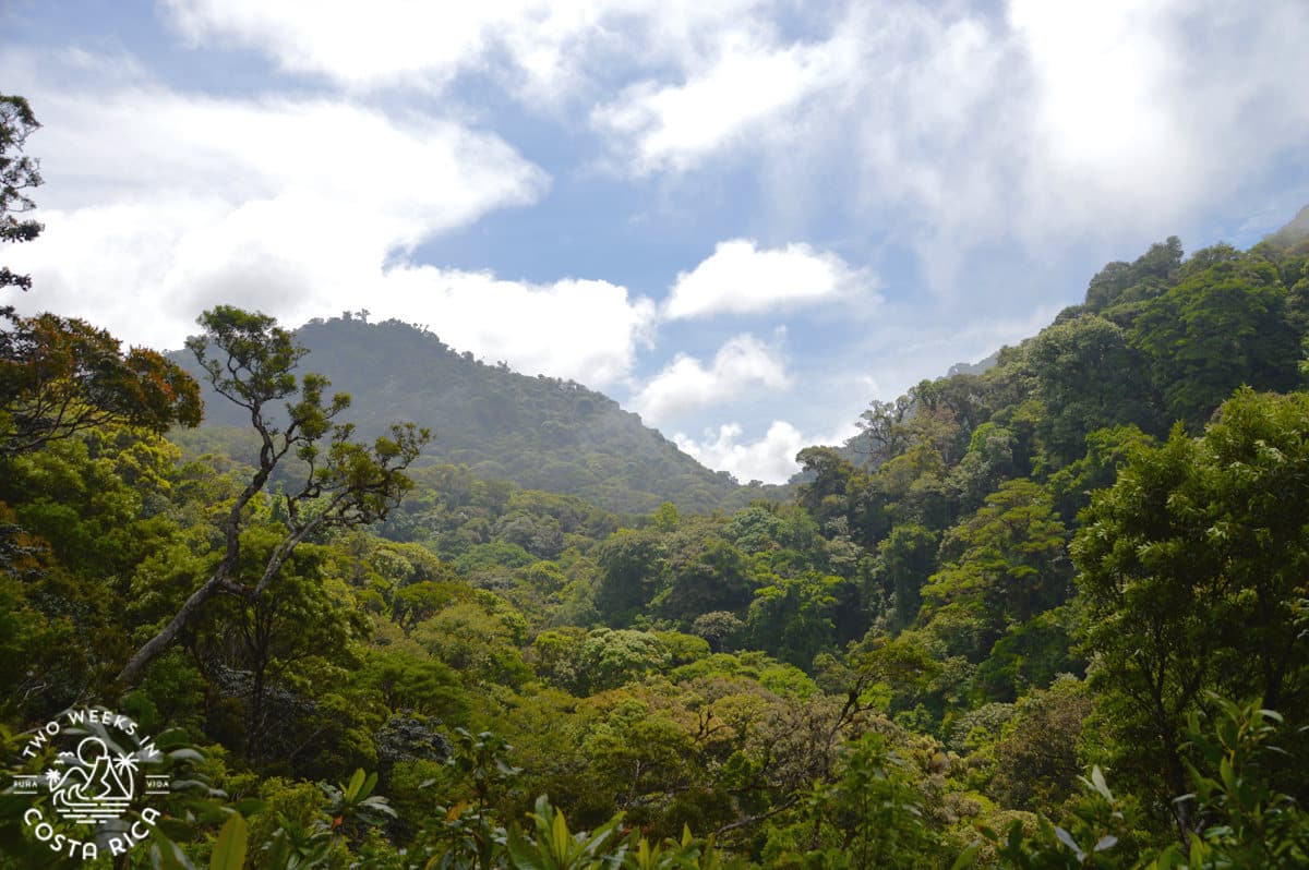 A view of the mountains in Monteverde Costa Rica with lush vegetation and clouds