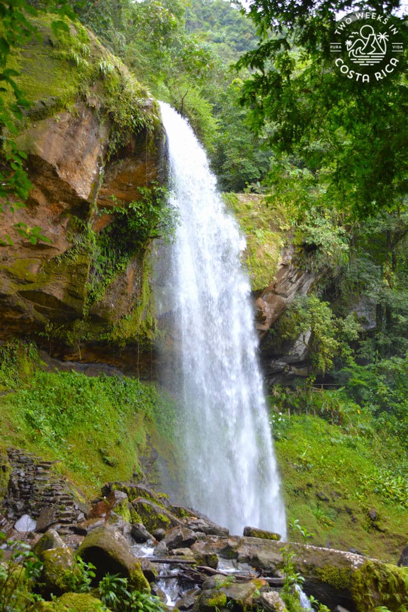 a narrow waterfall with a cave behind it covered in greenery