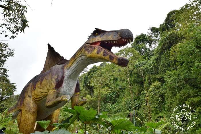 Dino Land at RIo Agrio