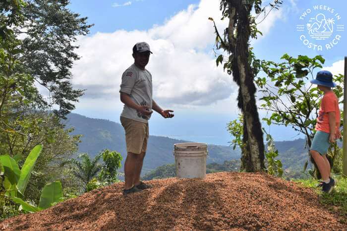 Cafe Don Emilio Coffee Tour