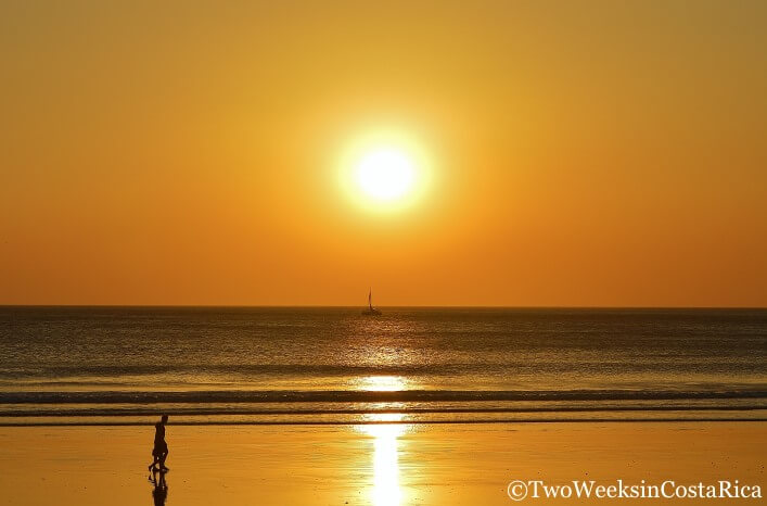 gold sunset sinking into ocean