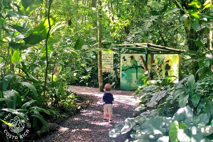 a small child walking on the path at Ecocentro Danaus in La Fortuna
