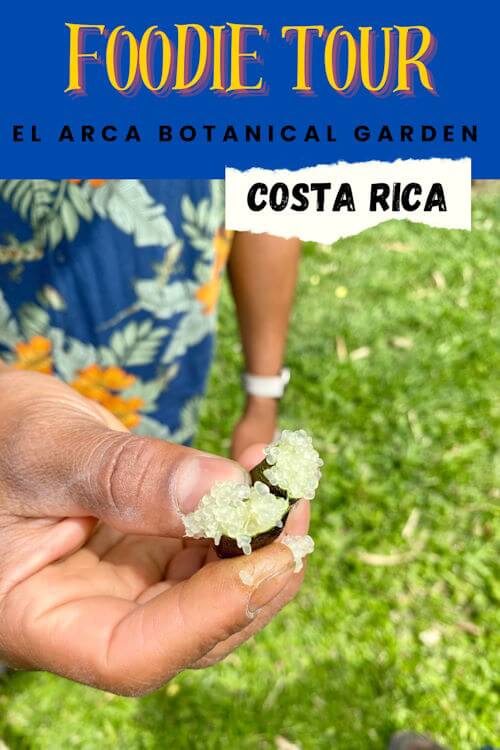 El Arca Garden and Food Tour