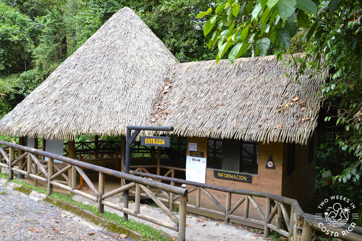 A thatched roof office building with a walkway and railings
