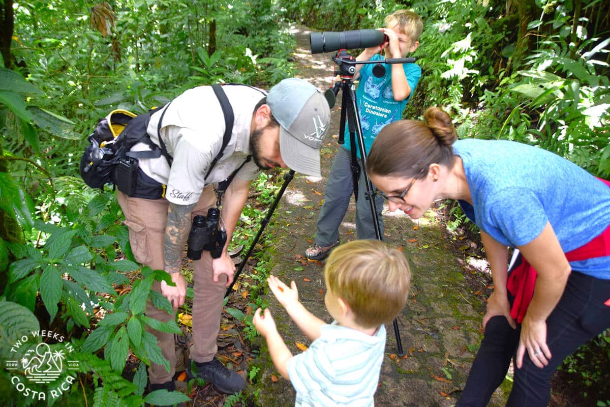 a family in monteverde costa rica with a nature guide