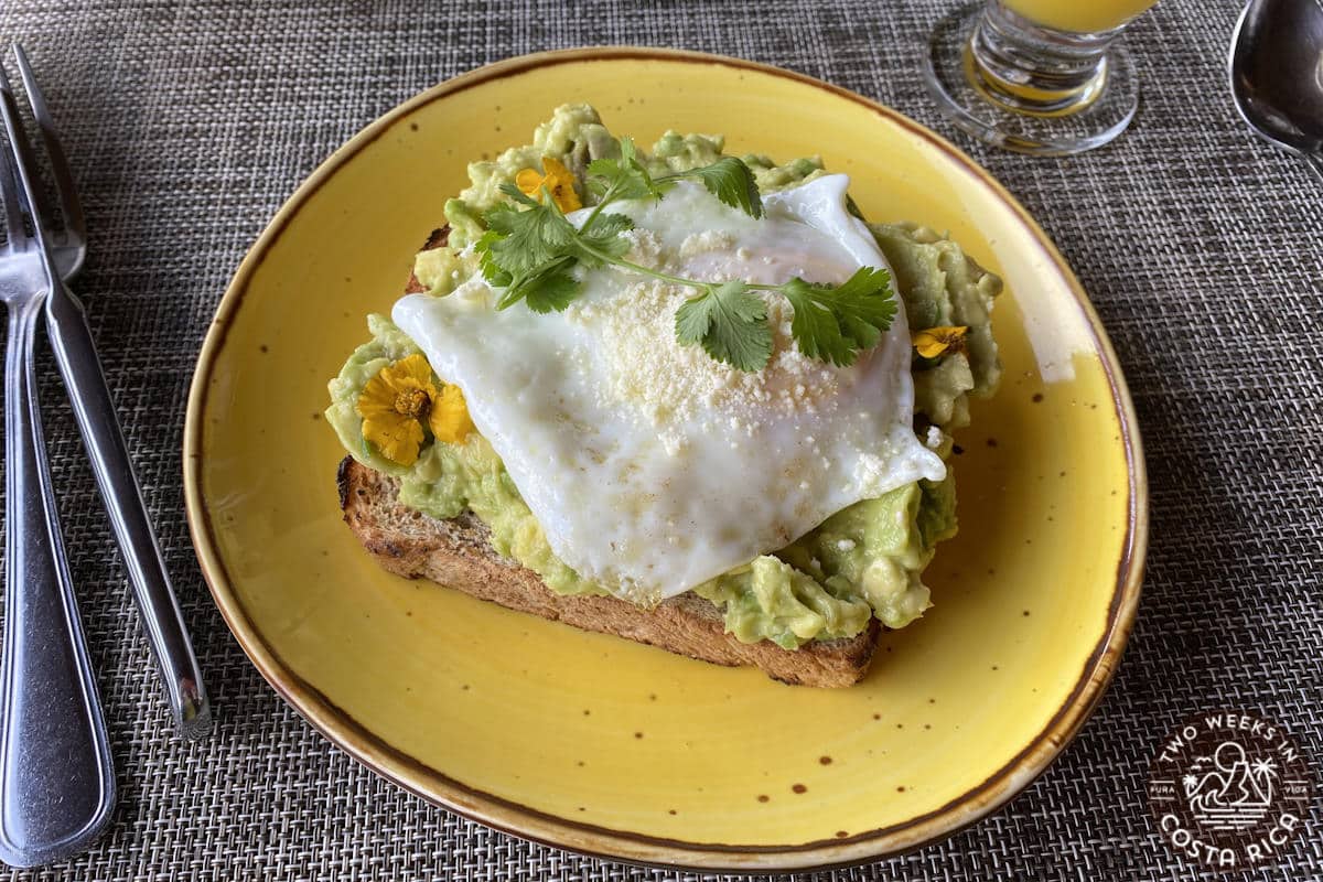 breakfast toast with avocado and egg on a yellow plate