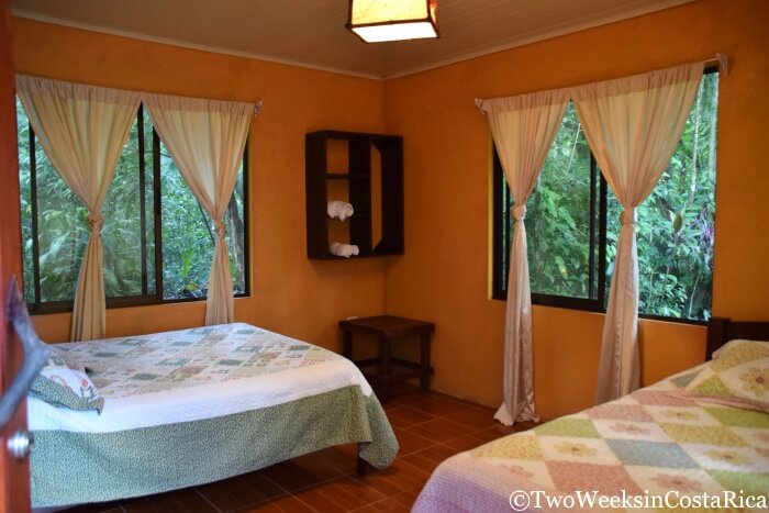 small hotel room with two beds and windows with plants outside