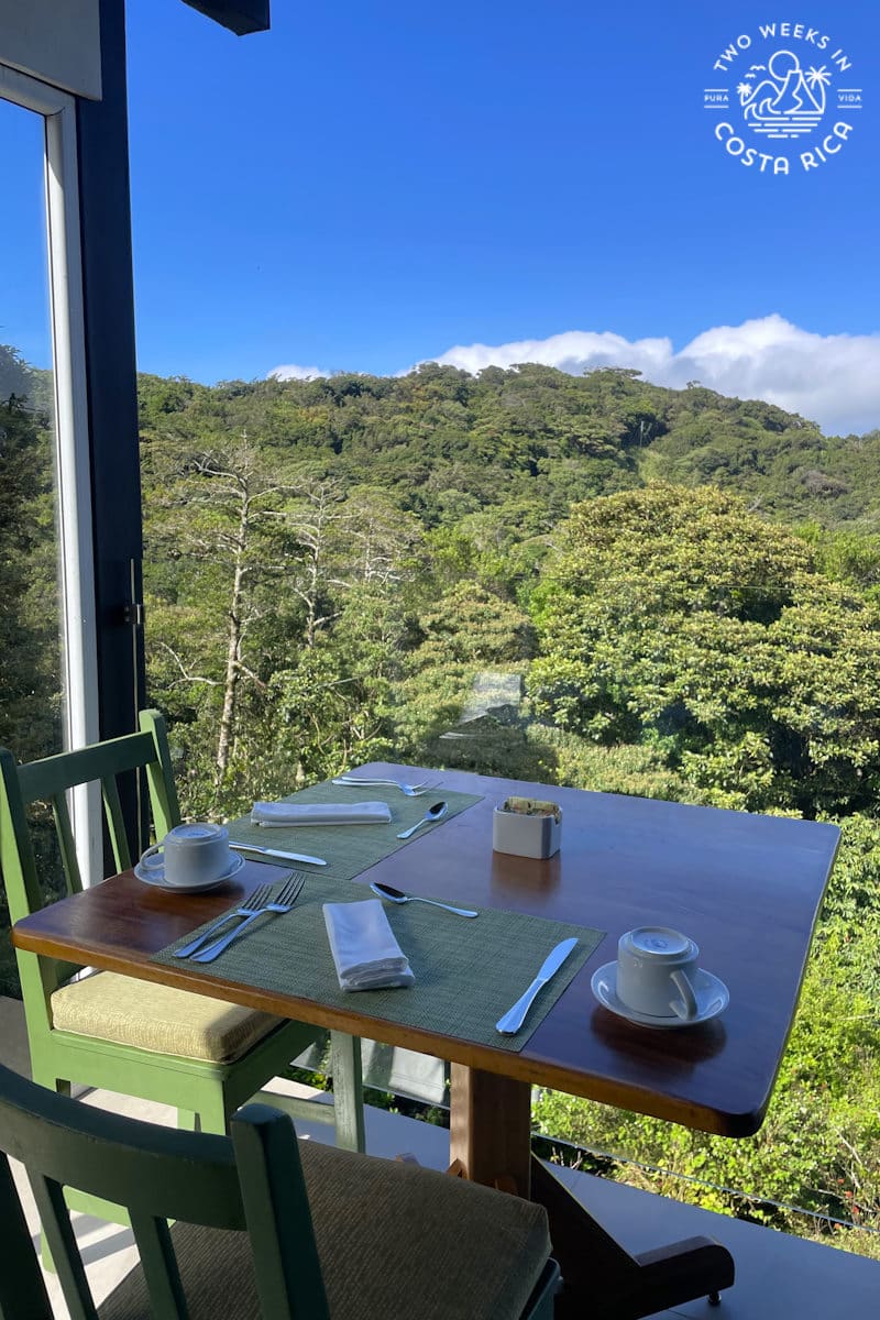 a table facing the forest