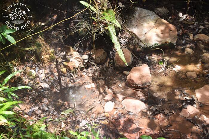 Fumarole River/hornillas El Jilguero