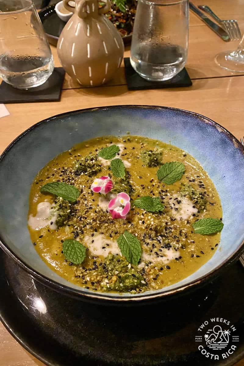 vegan food at ser nosara costa rica