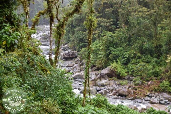 River surrounded by lush vegetation at Tapanti National Park