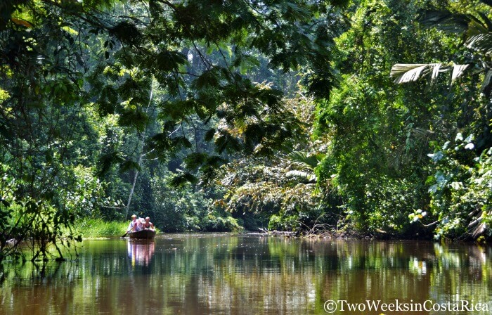Canal Tour Tortuguero