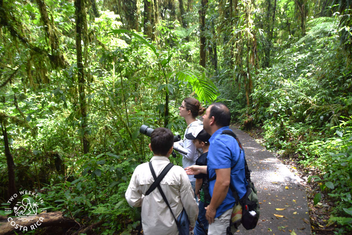 people on a trail at santa elena reserve with a tour guide